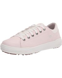 dickies womens safety shoes