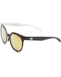 lentes de sol maui and sons hombre