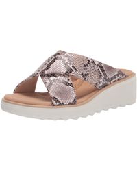 clarks tulip gem