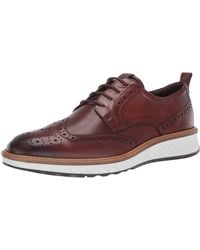 ecco brogues