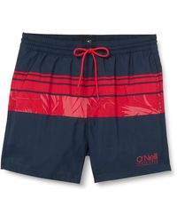 O'neill Sportswear - Pm Cali Stripe Shorts Swim Briefs - Lyst