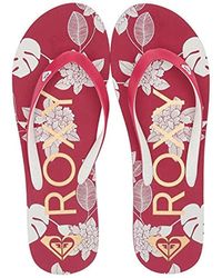 hollister flip flops amazon