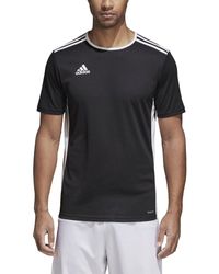 Kemba Walker Charlotte Hornets Youth Aqua Adidas Blinding Name & Number T  Shirt