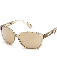 adidas Sp0013 Sunglasses - Brown