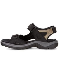 Ecco - Yucatan Outdoor Offroad Hiking Sandal - Lyst