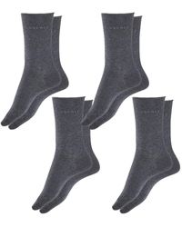Esprit - Socken Basic Pure 4er Pack - Lyst