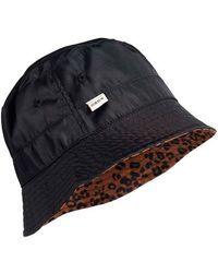 superdry hats amazon