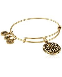 Lyst Alex And Ani Path Of Life Rafaelian Silver Charm Bracelet In Alex And Ani Path Of Life Iii Expandable Rafaelian Bangle Bracelet Lyst