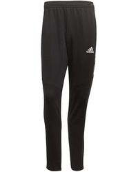 condivo 20 presentation pants