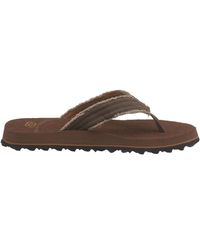 skechers tantric fray