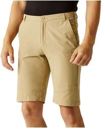 Regatta - Mens Highton Long Cargo Hiking Walking Shorts - Oat - 42 - Lyst