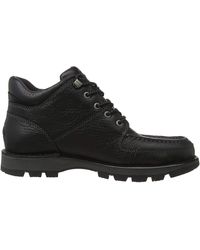rockport desert boots mens