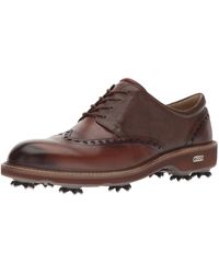 ecco mens brogues