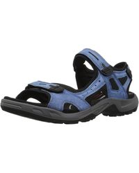 Ecco Offroad - Bleu
