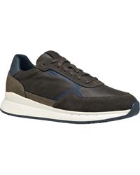 Geox - U Branthon - Lyst