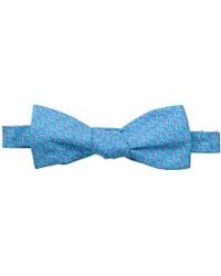 tommy bahama bow tie