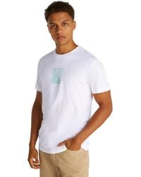 Calvin Klein - T-Shirt Kurzarm Brush Stroke Graphic Tee Regular Fit - Lyst