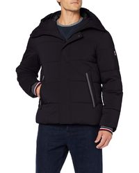 tommy hilfiger two tone hooded