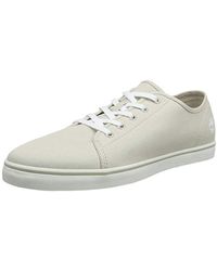 timberland skape park canvas