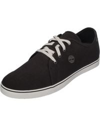 Timberland - Skape Park Oxford Canvas Trainers - Lyst