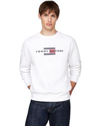 Tommy Hilfiger - Hilfiger Flag Embro Sweatshirt Mw0mw35541 Pullover Sweatshirt - Lyst