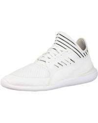 puma sf evo cat
