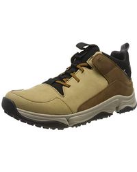 tri path mid clarks