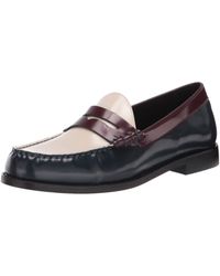 steve madden gucci loafers