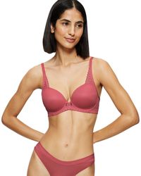 TRIUMPH AURA SPOTLIGHT T WHP STRAWBERRY TRIUMPH AURA SPOTLIGHT T WHP STRAWBERRY