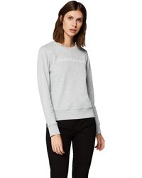 Calvin Klein Institutional Core Logo CN Felpa - Grigio