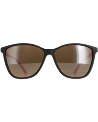 Ted Baker - Square Black And Pink Brown Grey Tb1443 Perry Sunglasses - Lyst