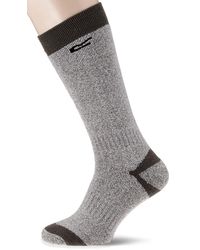 Regatta Socks for Men | Black Friday 