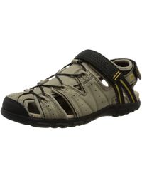 Geox Sandalen voor heren - Tot 40% korting op Lyst.com.nl