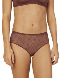 Triumph - S Signature Sheer Maxi Ex - Lyst