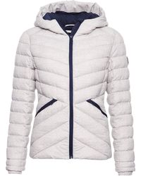 Superdry ESSENTIALS HELIO PADDED JACKET - Veste mi-saison - Gris