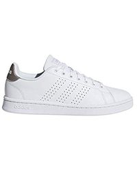 adidas advantage lthr 92
