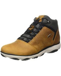 Geox Chukka boots and desert boots for Men | Online Sale up to 30% off |  Lyst UK