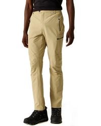 Regatta - Highton Zip Off Walking Trousers Wanderhose - Lyst