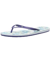 hollister flip flops amazon