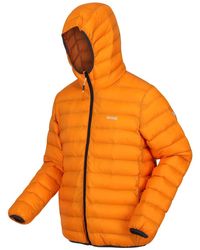 Regatta - S Hooded Marizion Padded Puffer Jacket - Lyst