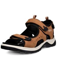 Ecco - Offroad Classic Multisport Outdoor Shoes - Lyst