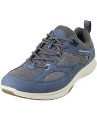 Ecco exceed cheap