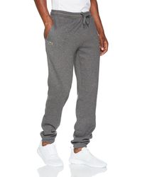 grey lacoste joggers