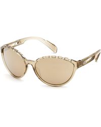 adidas Sp0012 Sunglasses - Brown