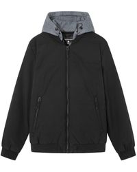 Springfield - Cazadore Chaqueta Bomber Acolchada Capucha Desmontable - Lyst