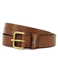levis calypso belt
