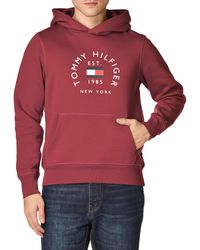 Tommy Hilfiger - Hilfiger Flag Arch Hooded Sweatshirt - Lyst