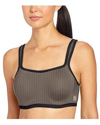 natori sports bra dillards