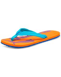 puma flops