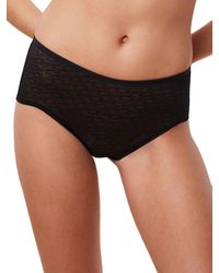 Triumph - Signature Sheer Maxi Ex Briefs - Lyst
